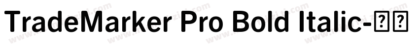 TradeMarker Pro Bold Italic字体转换